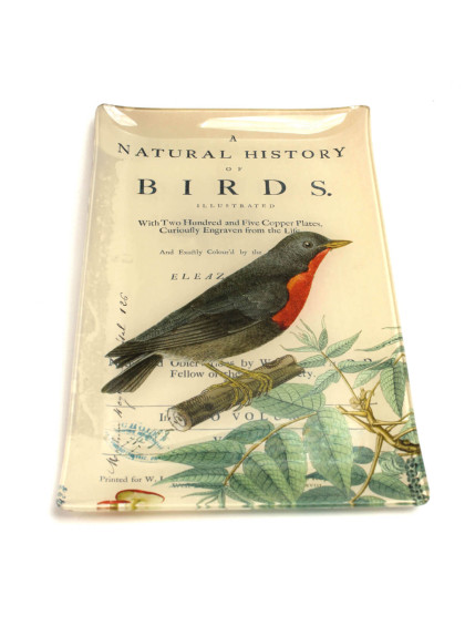 Bandeja de Vidro Grande com Pássaro