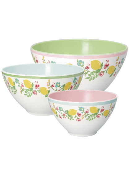 Conjunto Saladeira com Estampa Limona