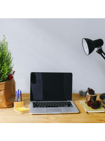 Porta-lápis e Papel Pinus 