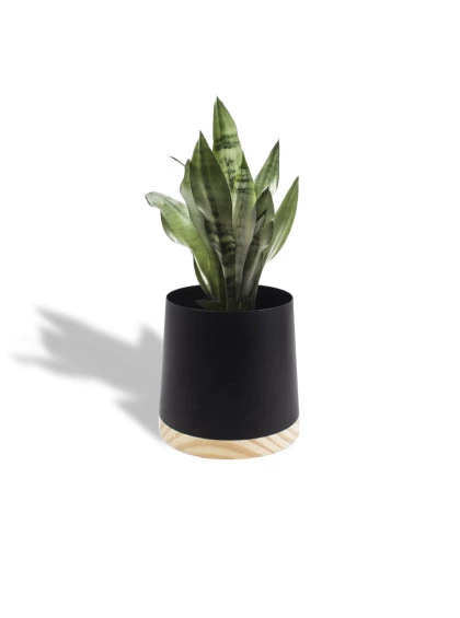 Cachepot Cônico Médio